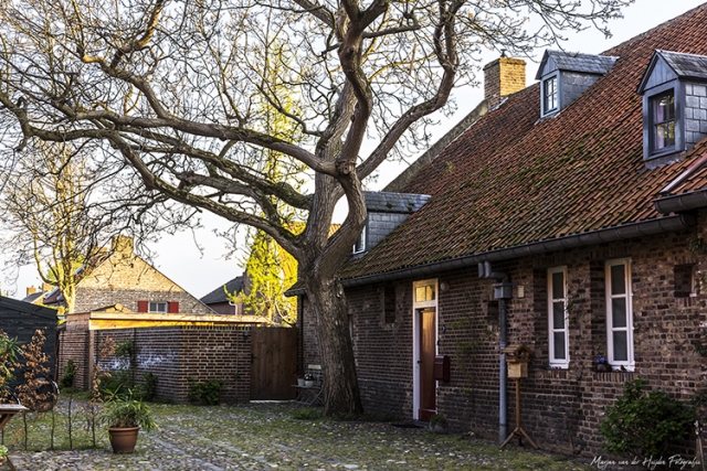 Marjan van der Heijden fotografie