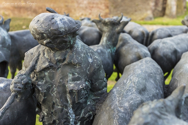 Marjan van der Heijden fotografie