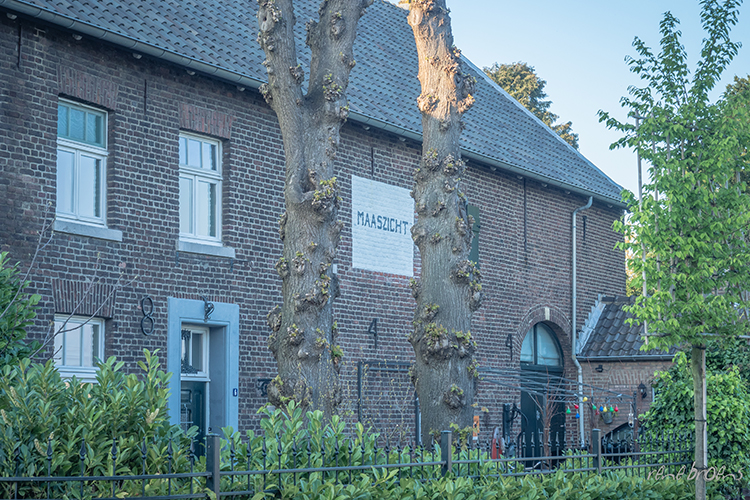 Rene Broens - fotografie