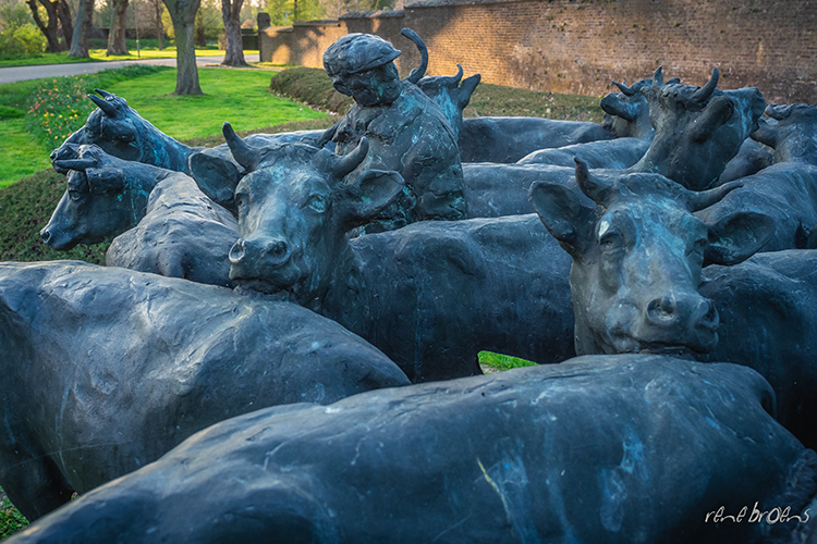 Rene Broens - fotografie