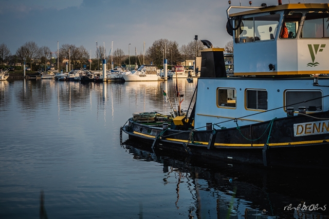 Rene Broens - fotografie