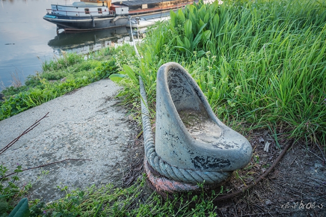 Rene Broens - fotografie