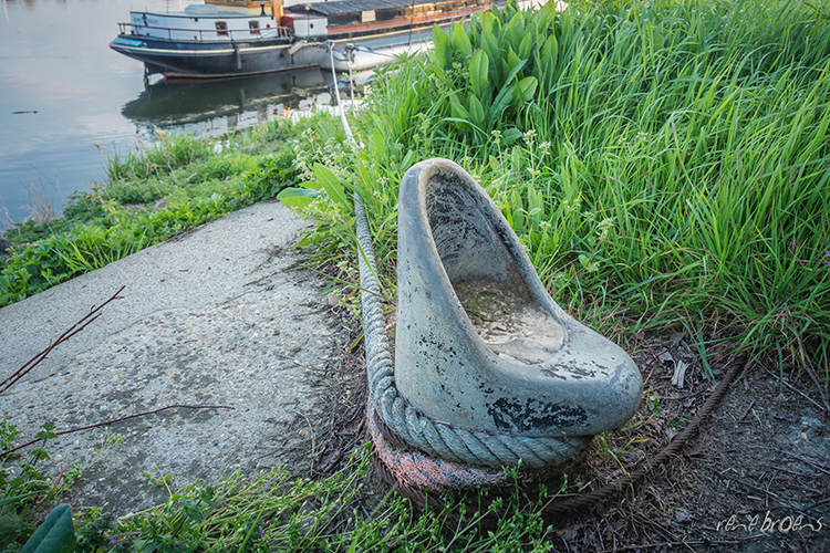 Rene Broens - fotografie