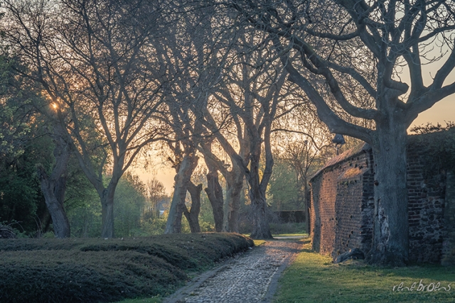 Rene Broens - fotografie